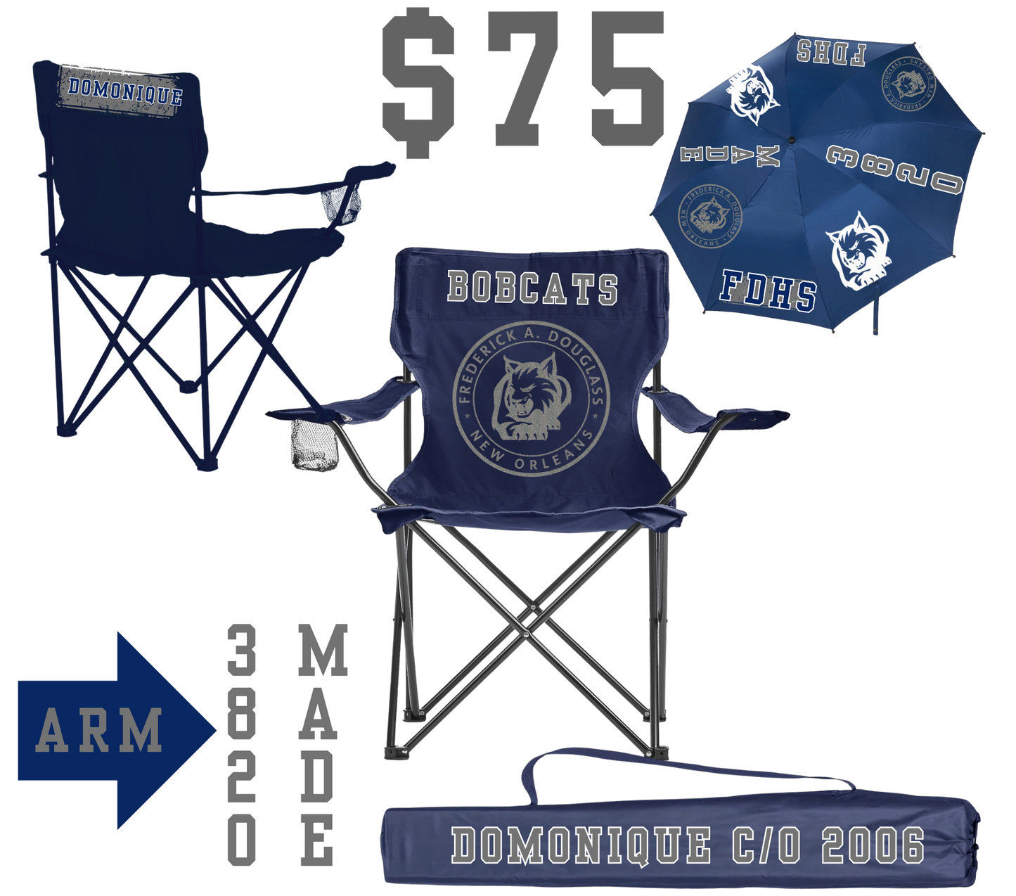 Frederick A. Douglass Bobcats Chair